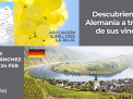 Descubriendo Alemania a través de sus vinos